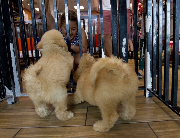 East coast hotsell pet supply md
